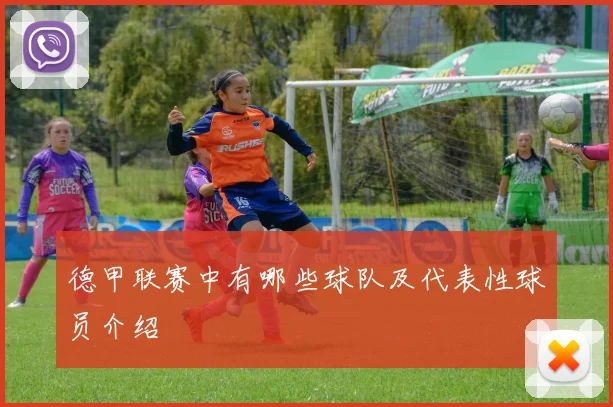 德甲联赛中有哪些球队及代表性球员介绍