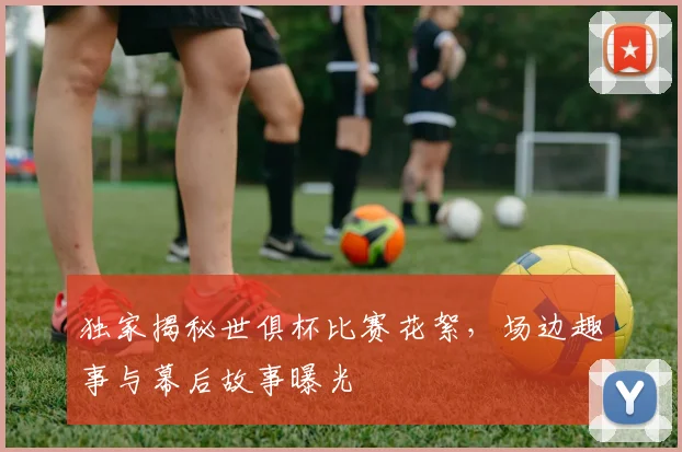 独家揭秘世俱杯比赛花絮，场边趣事与幕后故事曝光