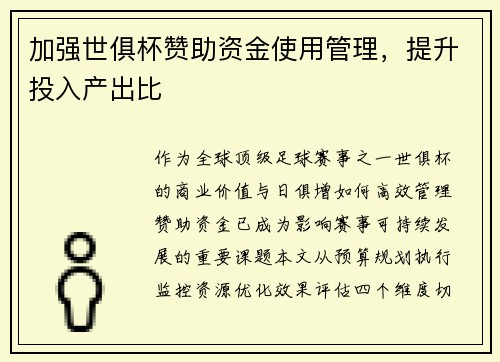 加强世俱杯赞助资金使用管理，提升投入产出比